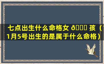 七点出生什么命格女 🐋 孩（11月5号出生的是属于什么命格）